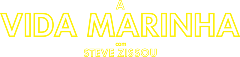 A Vida Marinha com Steve Zissou