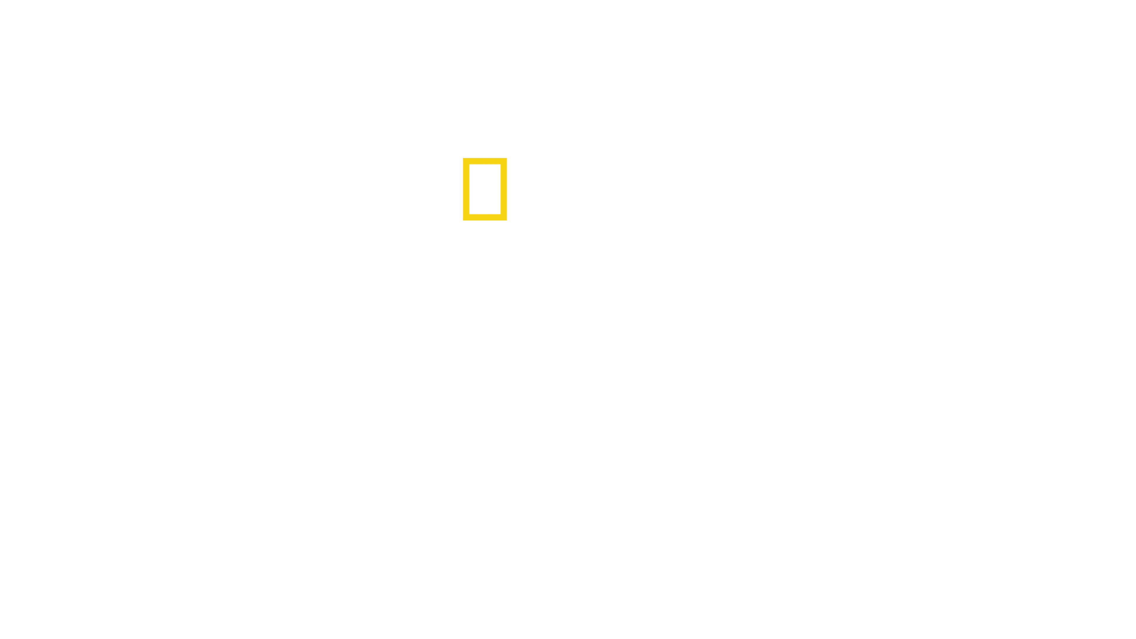 遠征聖母峰