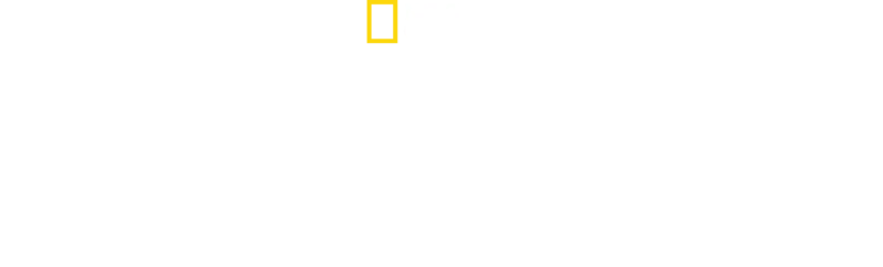 Chris Hemsworth: a caccia di squali