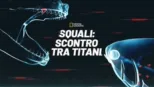 thumbnail - Squali: scontro tra titani