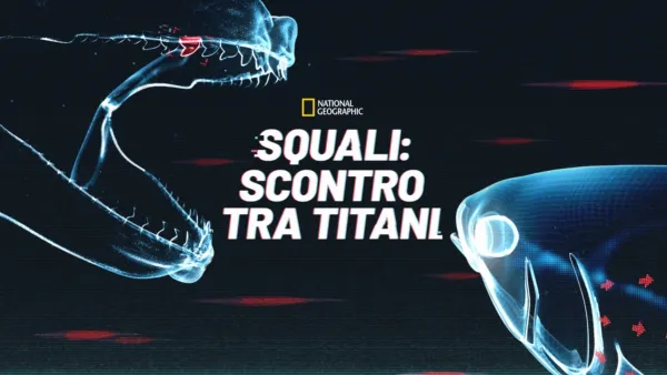 thumbnail - Squali: scontro tra titani