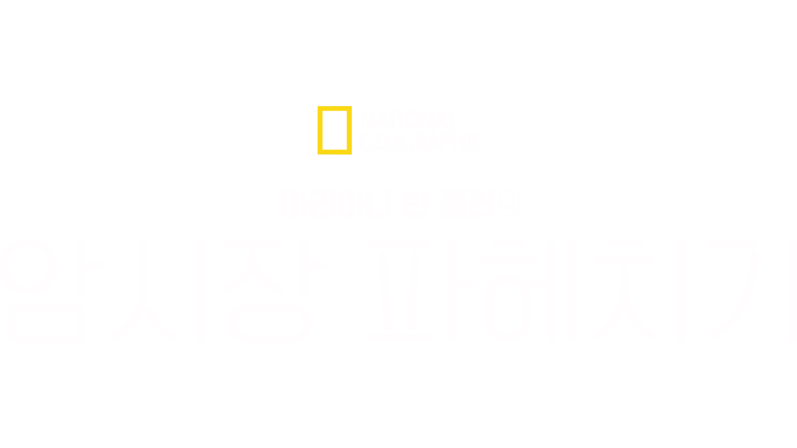 마리아나 반 젤러의 암시장 파헤치기