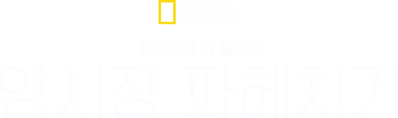 마리아나 반 젤러의 암시장 파헤치기