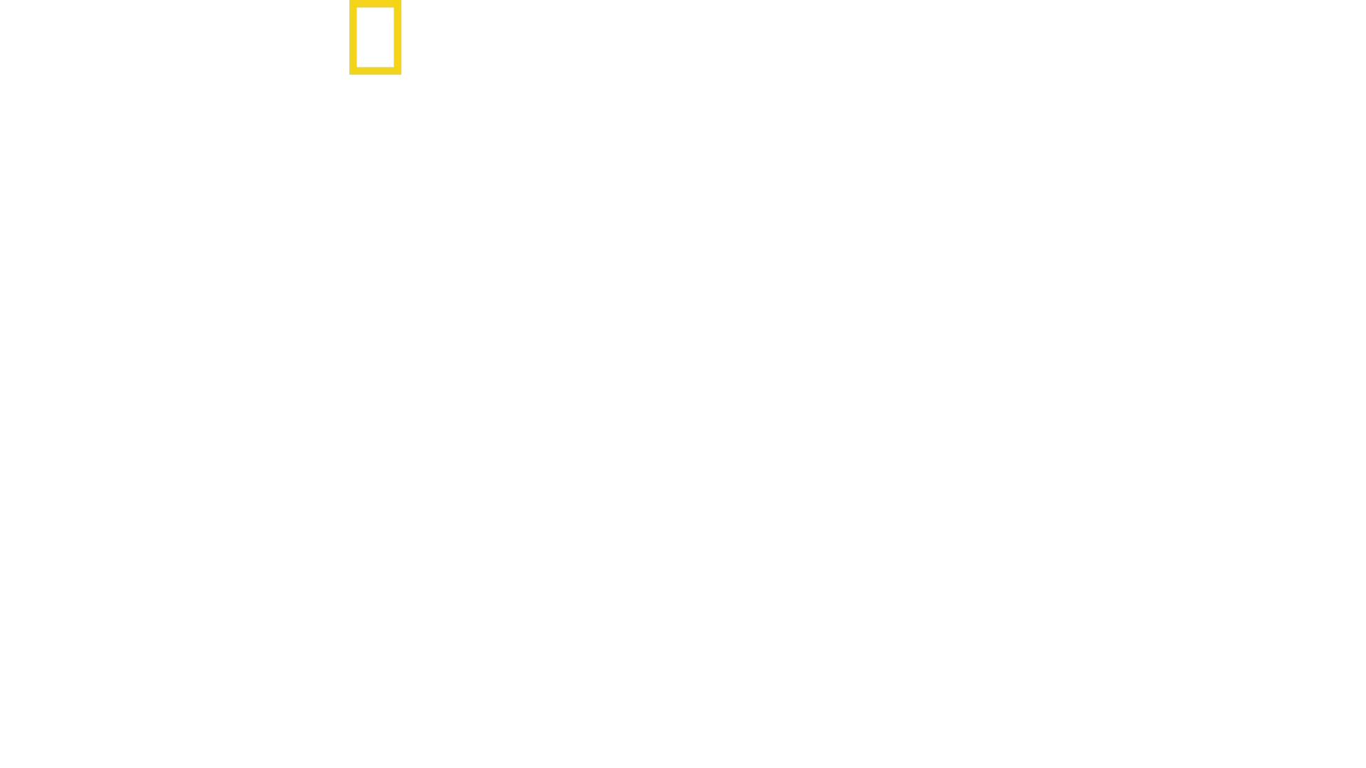 Hitler's Death Squad