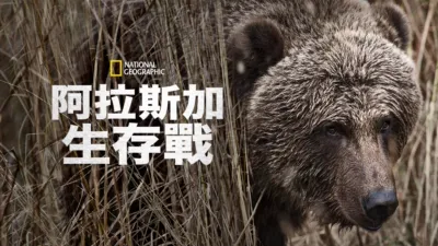 阿拉斯加生存戰