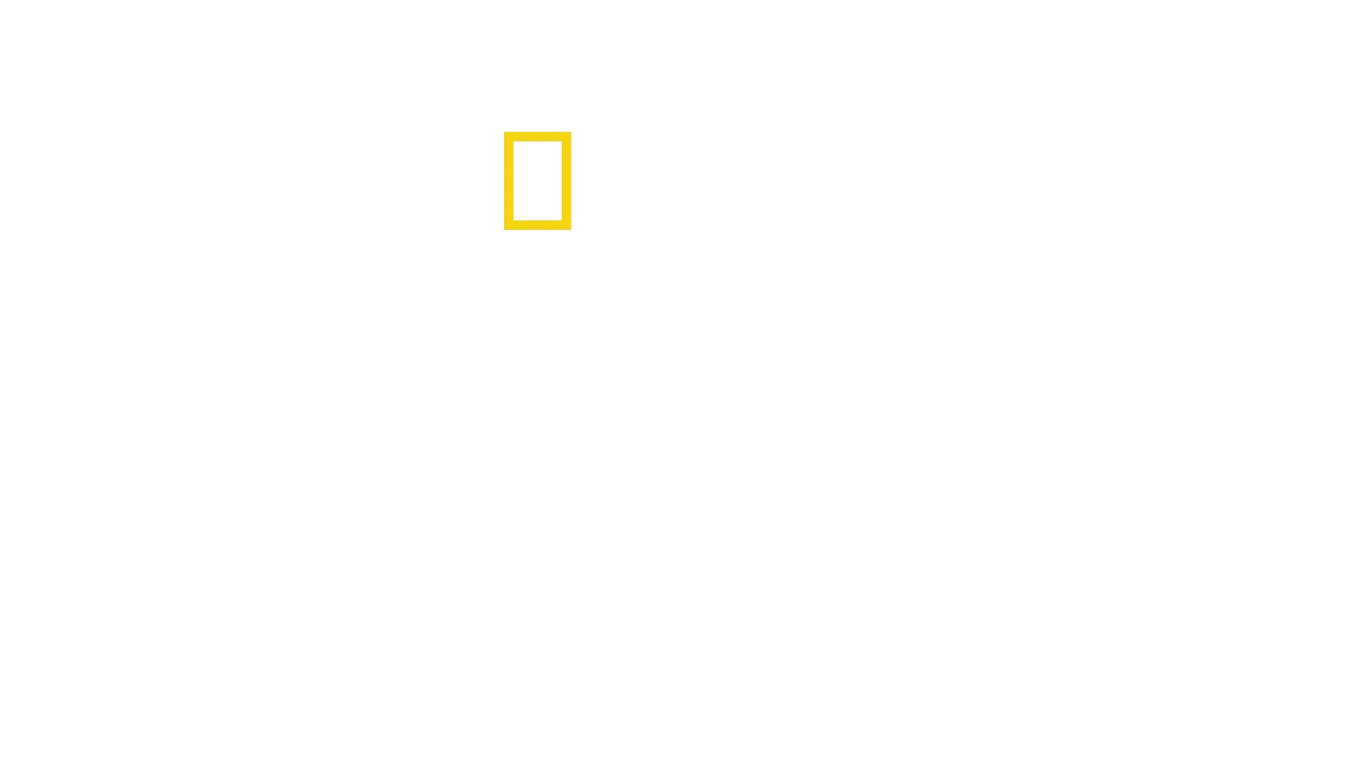 Bayrak Fabrikası