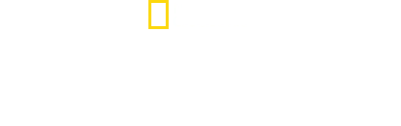 Megastructuri naziste