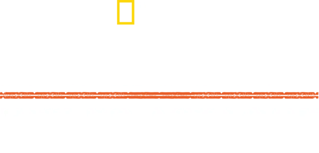 Apocalypse, Hitler attaque à l'Est