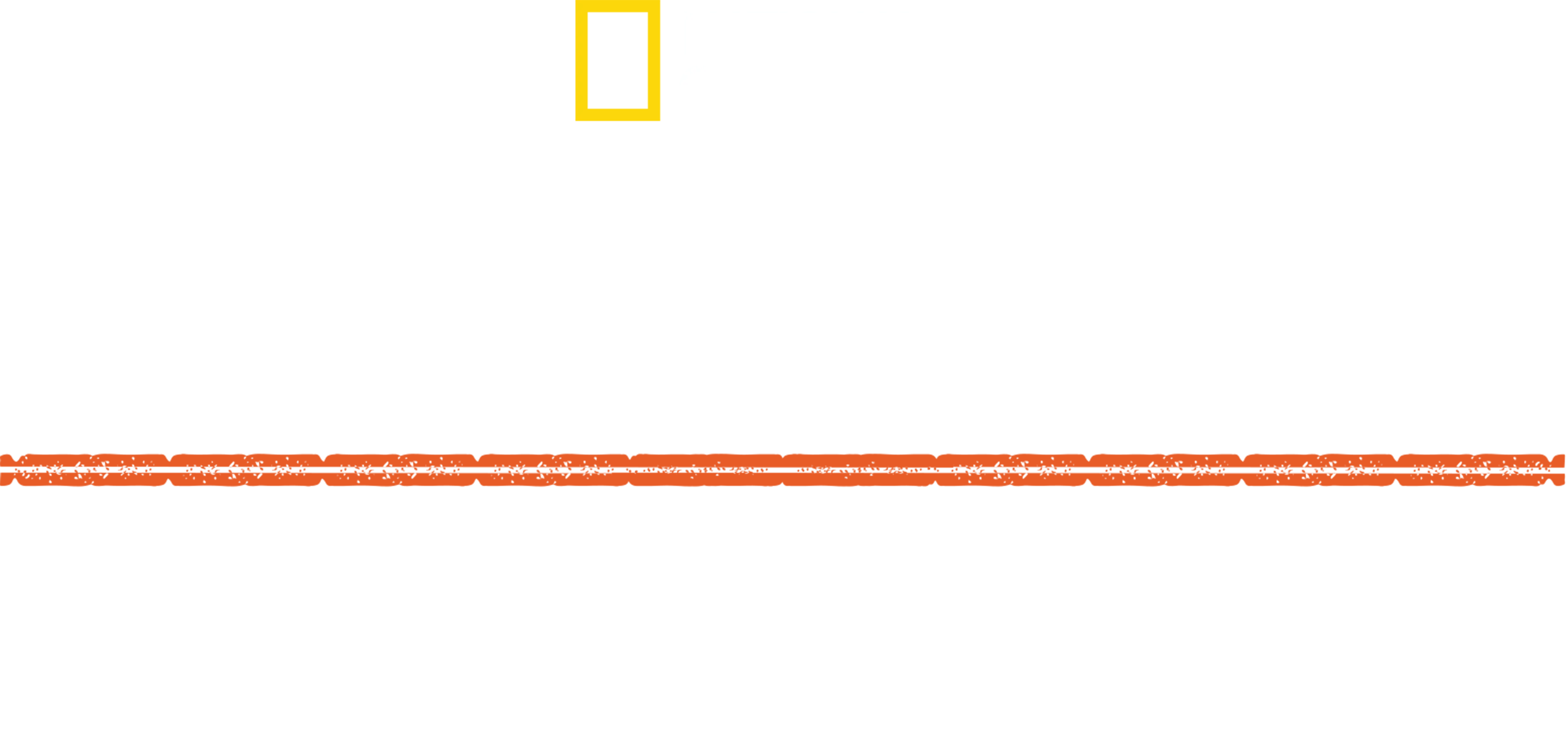 Apocalypse, Hitler attaque à l'Est