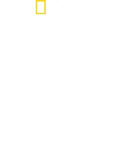 潜入！リーサル・スネーク