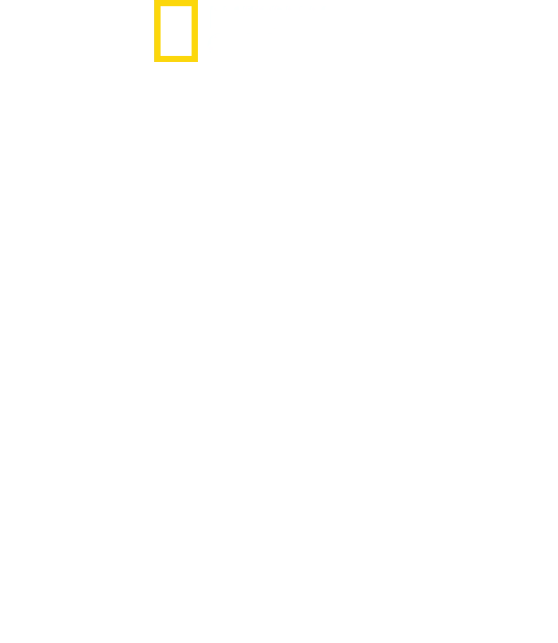 潜入！リーサル・スネーク