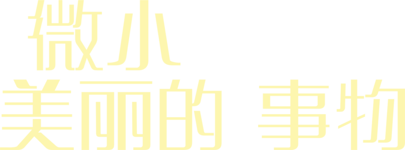 微小美丽的事物