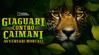 Giaguari contro Caimani - Avversari mortali