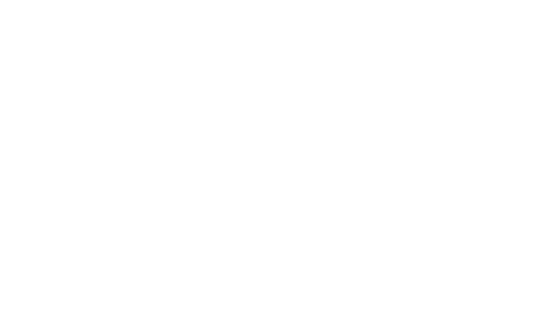 The Amazing Race