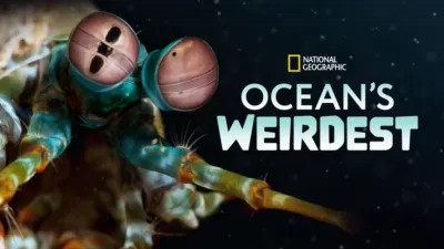 Ocean's Weirdest