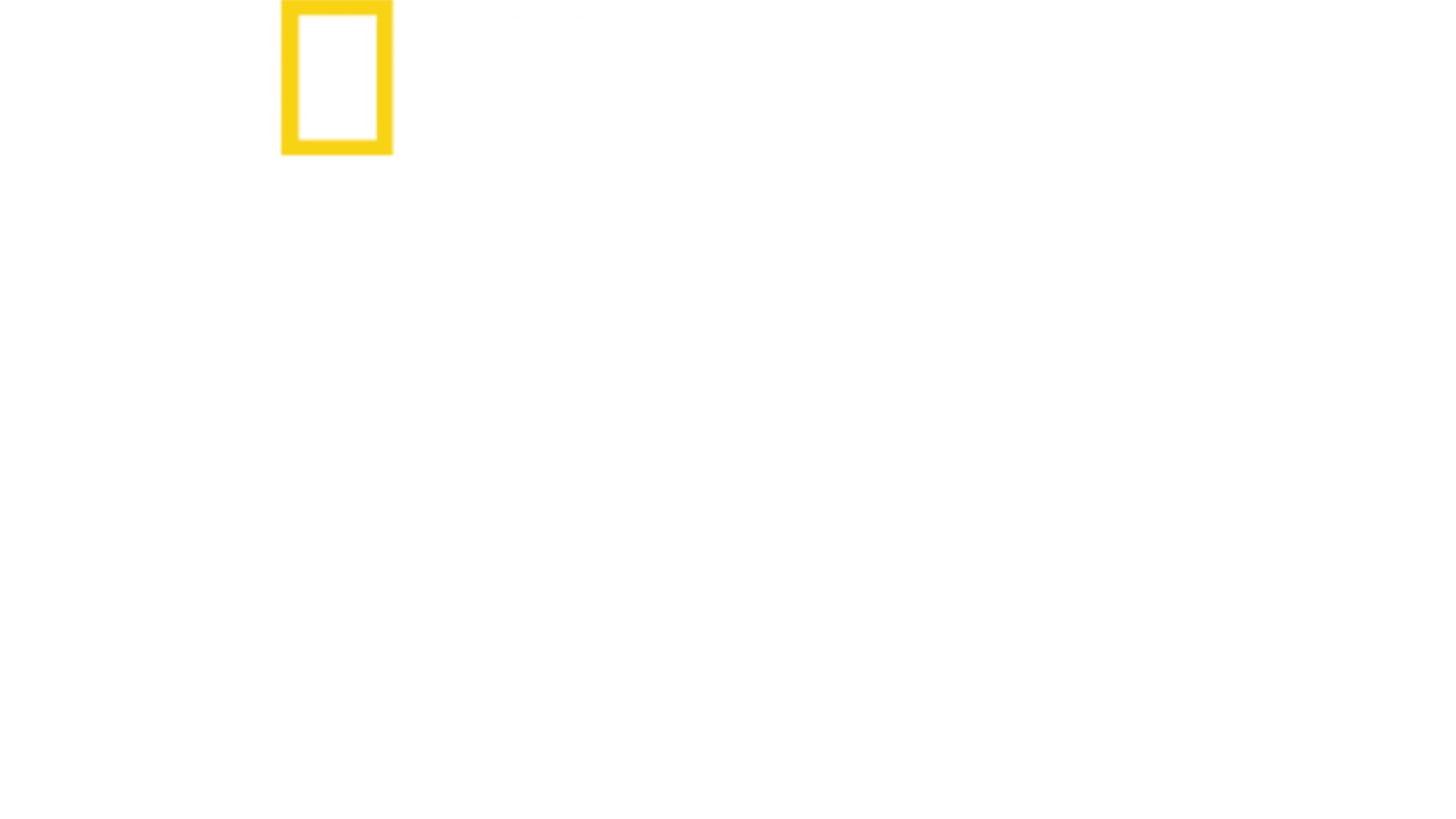 珍古德：點燃希望