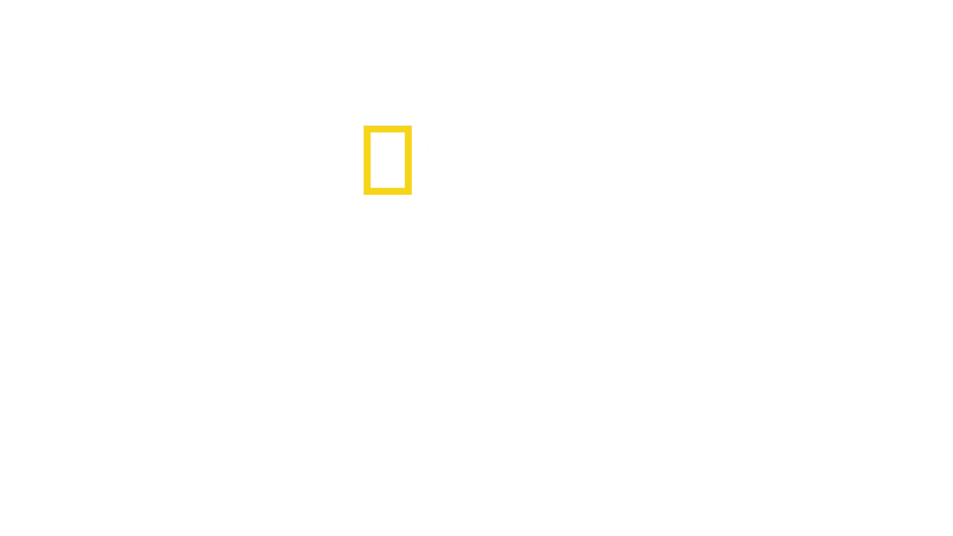 Conociendo a los chimpancés