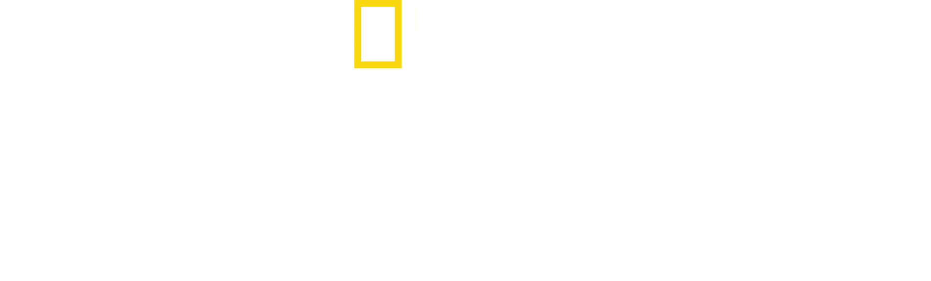 Conociendo a los chimpancés