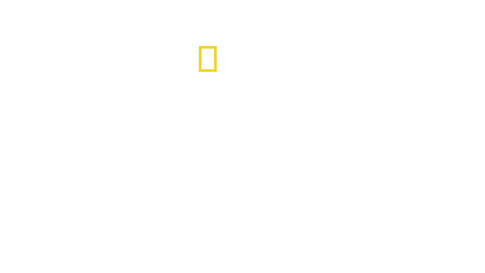 Regno selvaggio