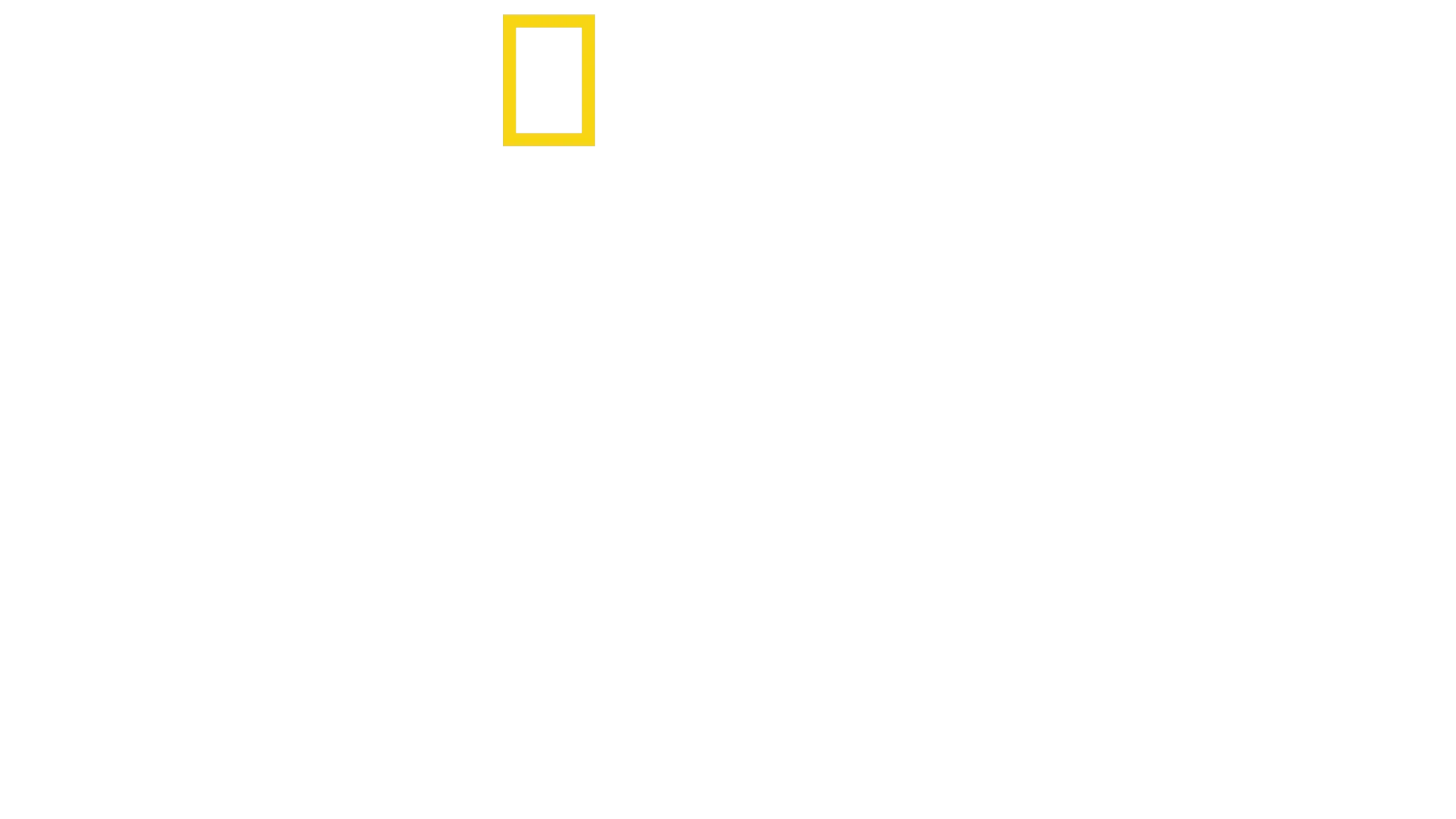 A cápa: Az 50 éves sikerfilm kulisszái mögött