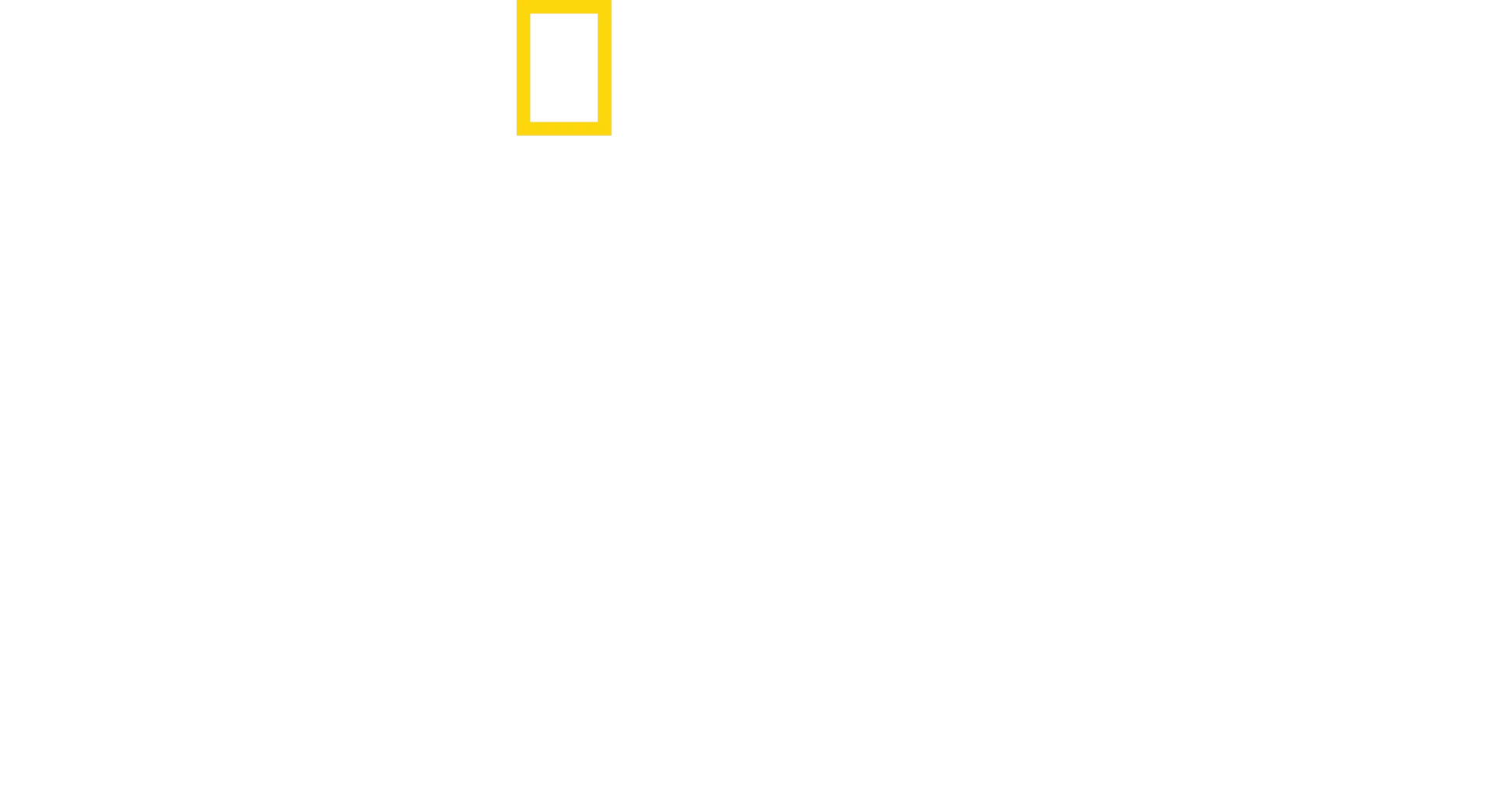 A cápa: Az 50 éves sikerfilm kulisszái mögött