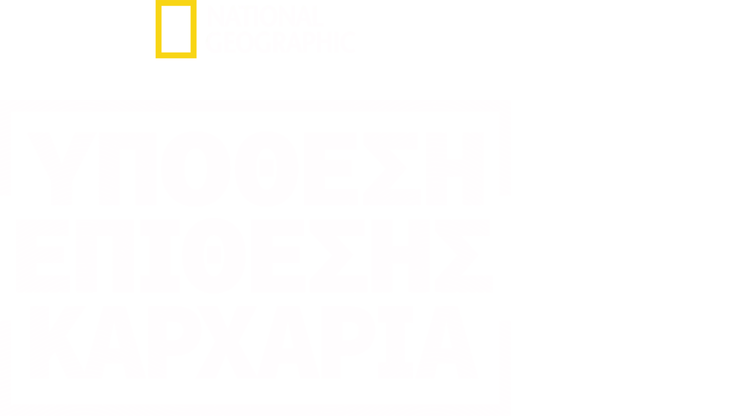 Φάκελος: Επιθέσεις Καρχαριών