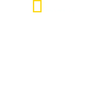 Φάκελος: Επιθέσεις Καρχαριών