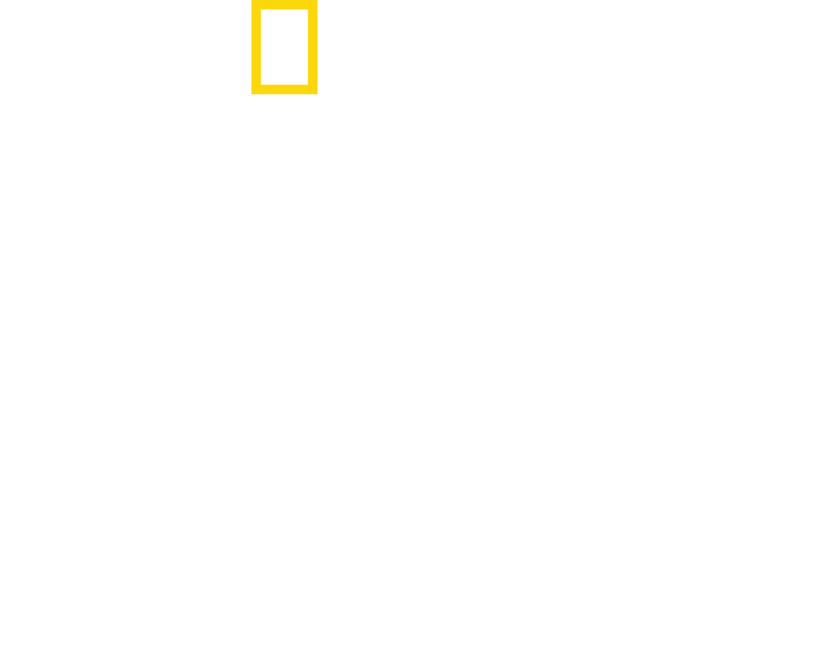 Φάκελος: Επιθέσεις Καρχαριών