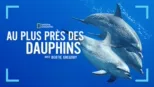 thumbnail - Au plus près des dauphins avec Bertie Gregory