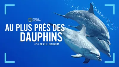 Au plus près des dauphins avec Bertie Gregory