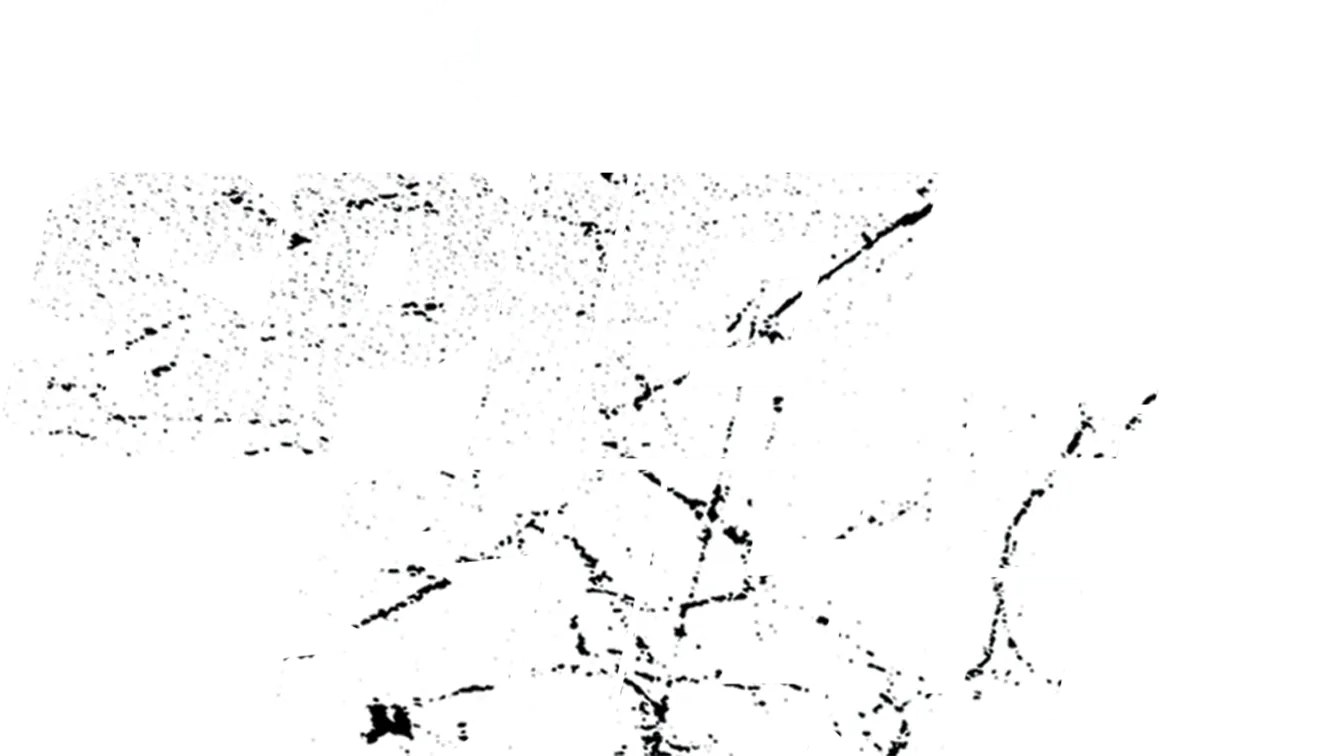 Spiel auf Sieg