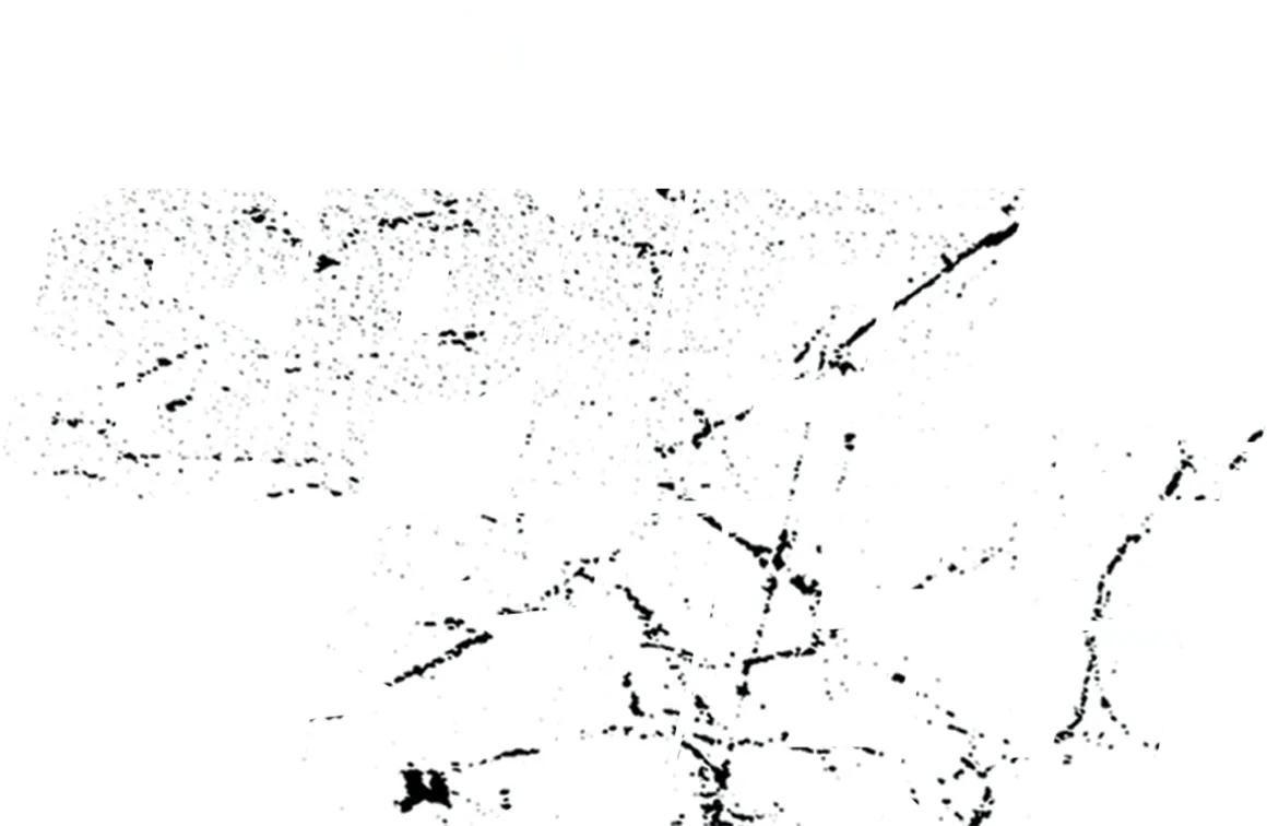 Spiel auf Sieg