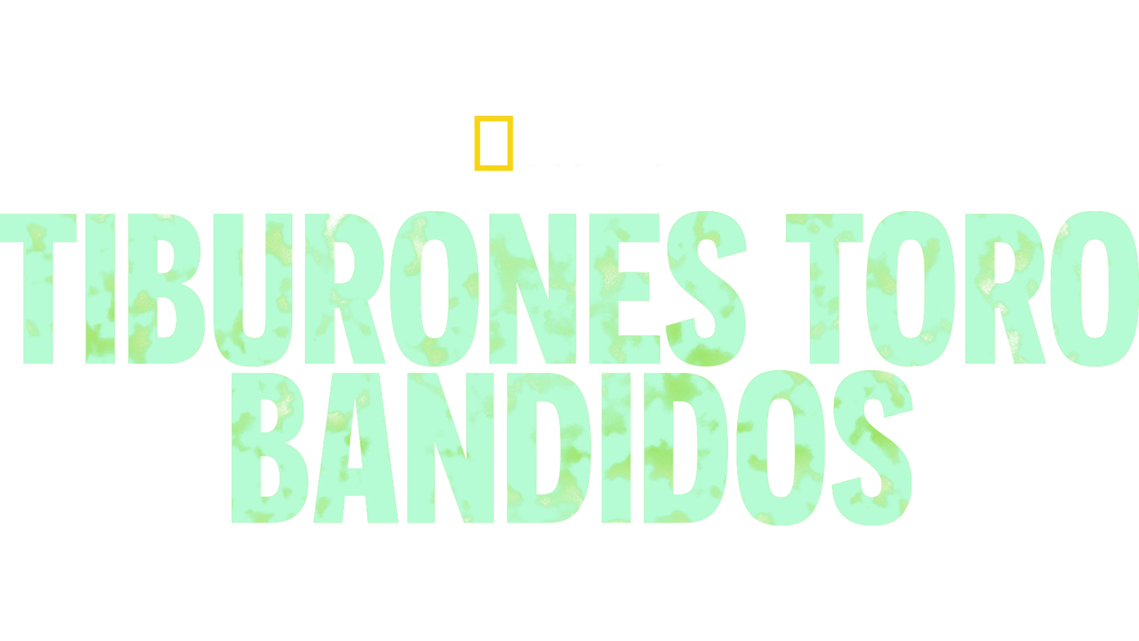 Tiburones toro bandidos