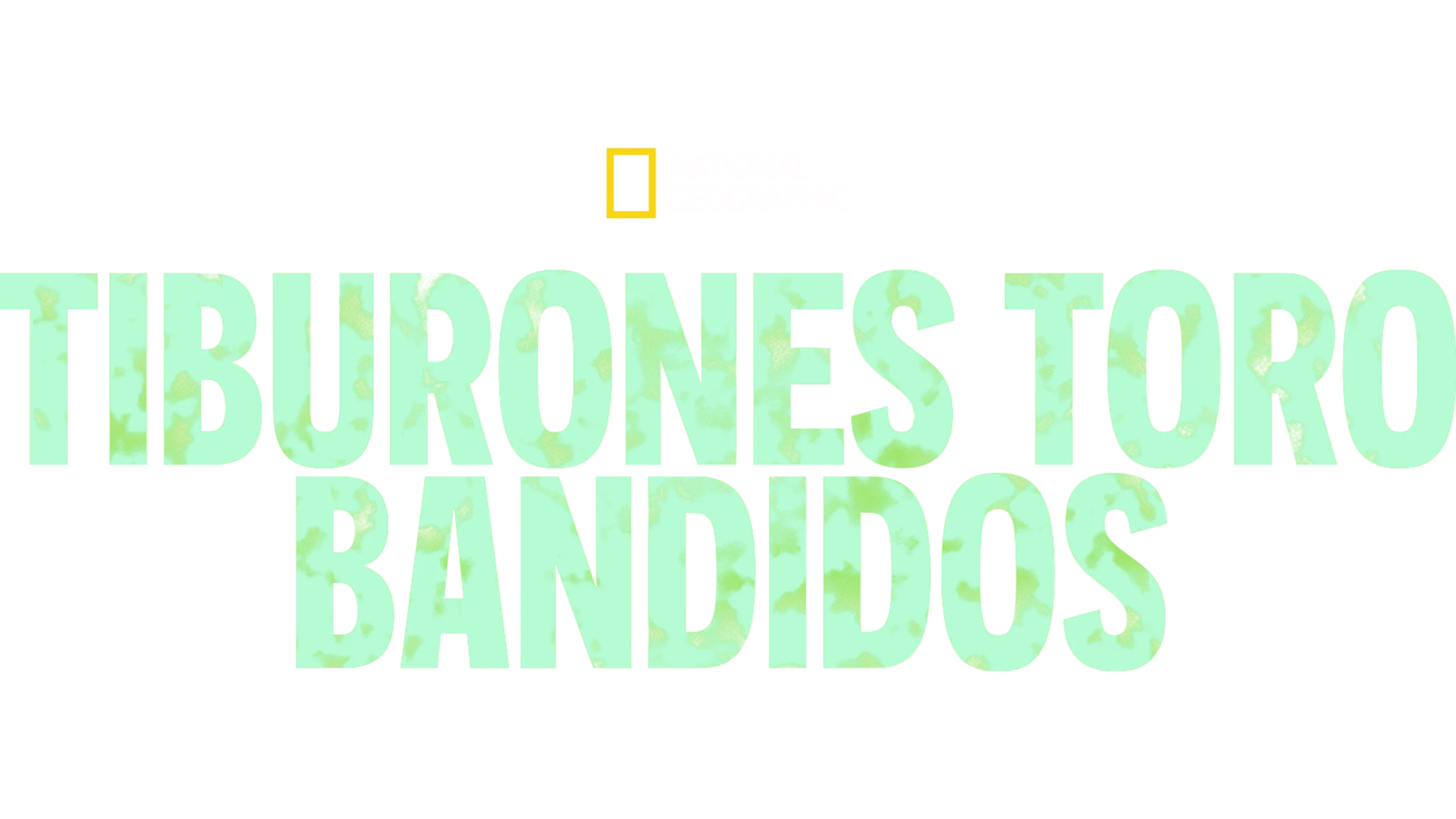 Tiburones toro bandidos
