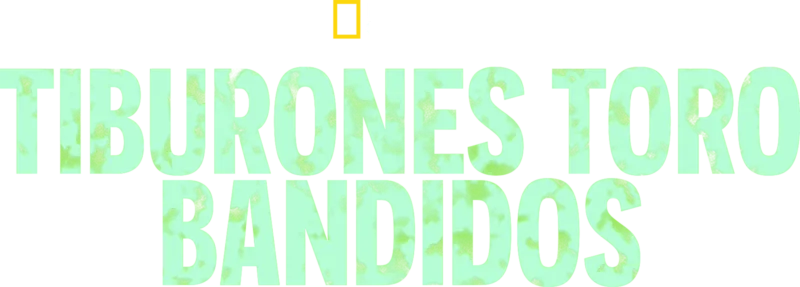 Tiburones toro bandidos