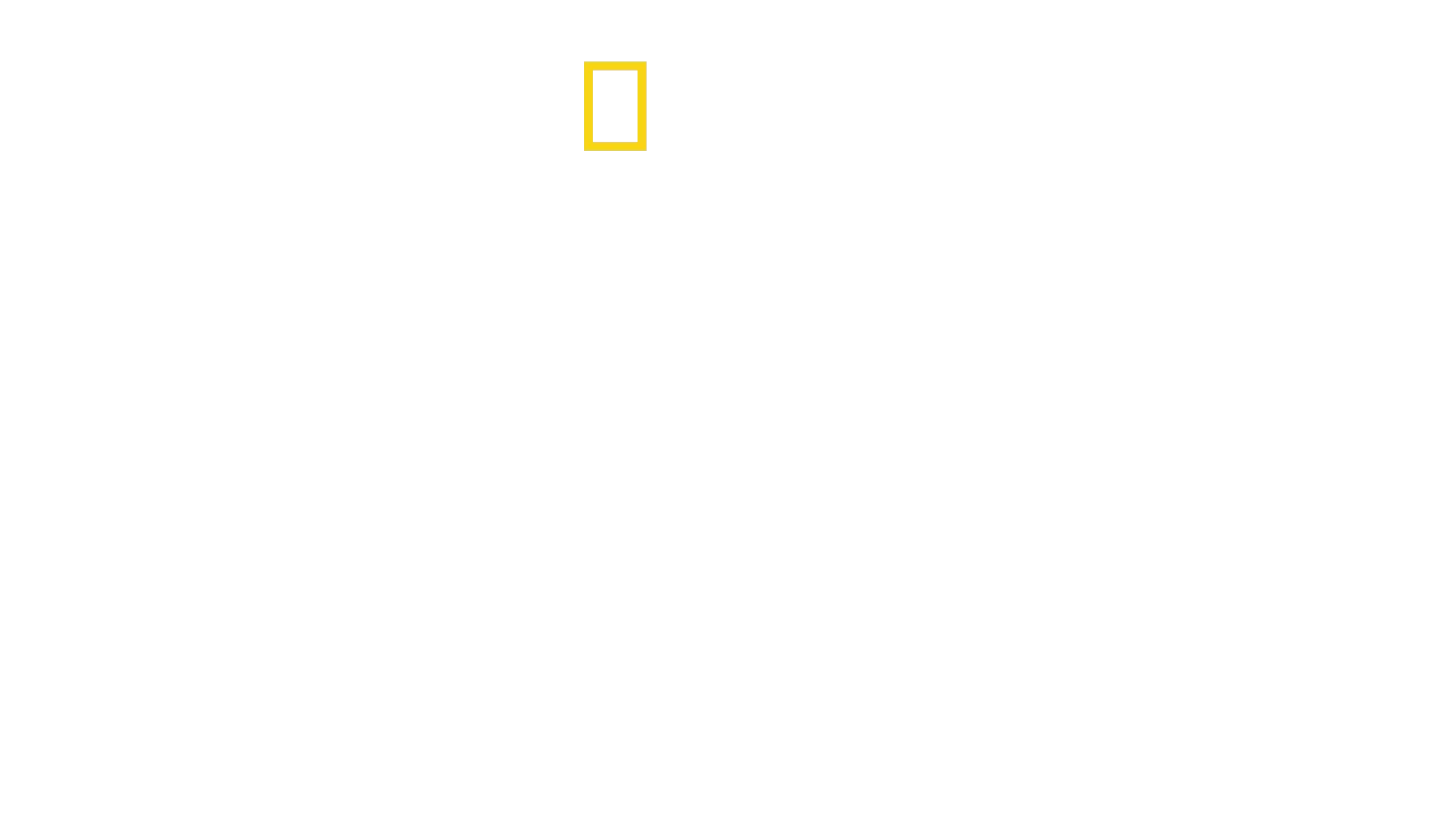 Villi Yellowstone