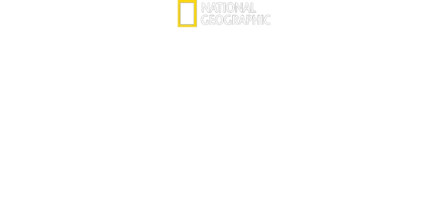 Villi Yellowstone