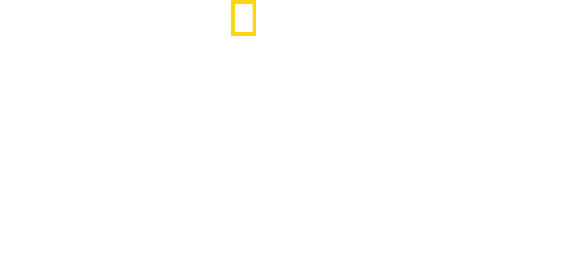 Villi Yellowstone