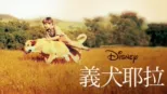 thumbnail - 義犬耶拉