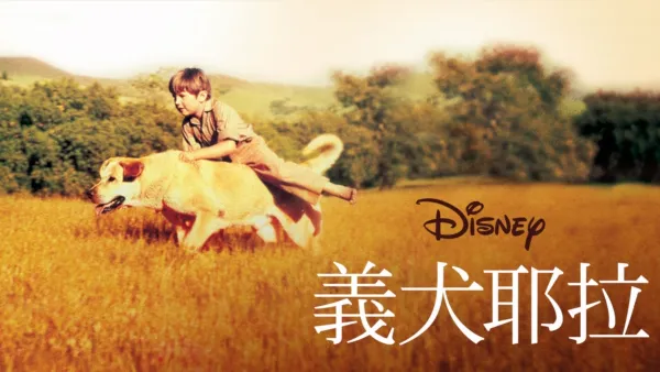 thumbnail - 義犬耶拉