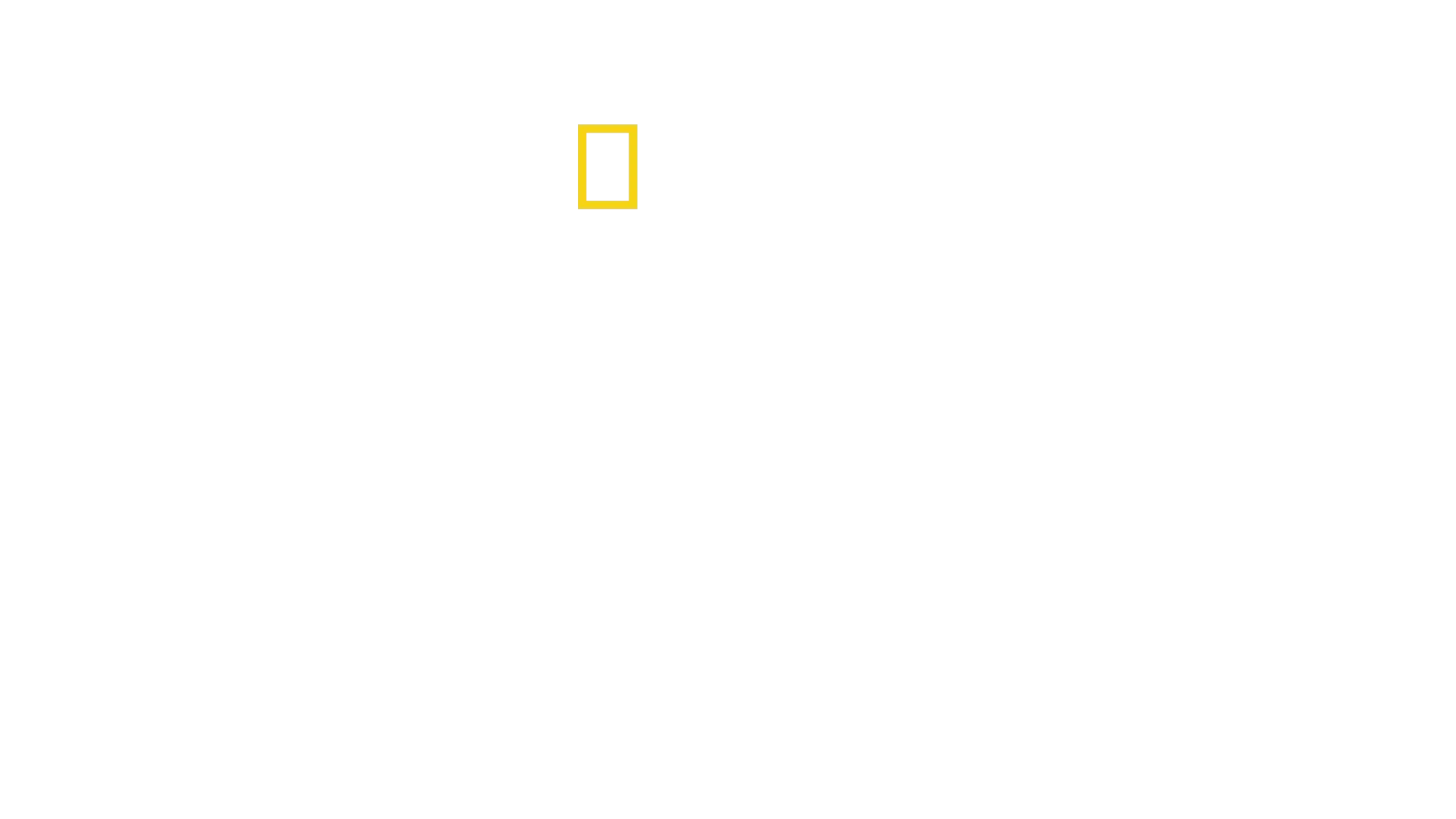 Les trésors perdus de la Vallée des Rois