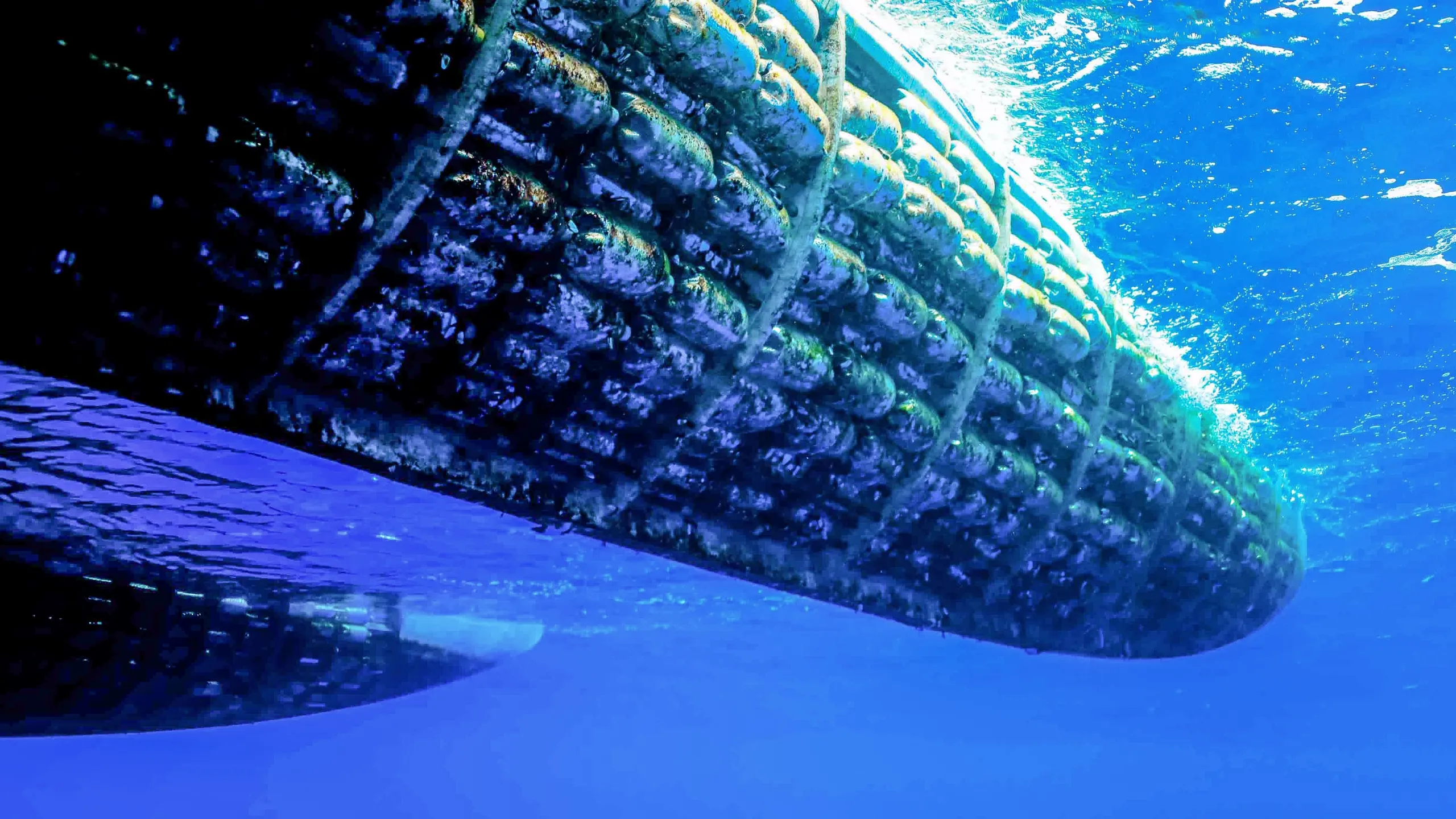 Plastiki : Mon bateau écolo