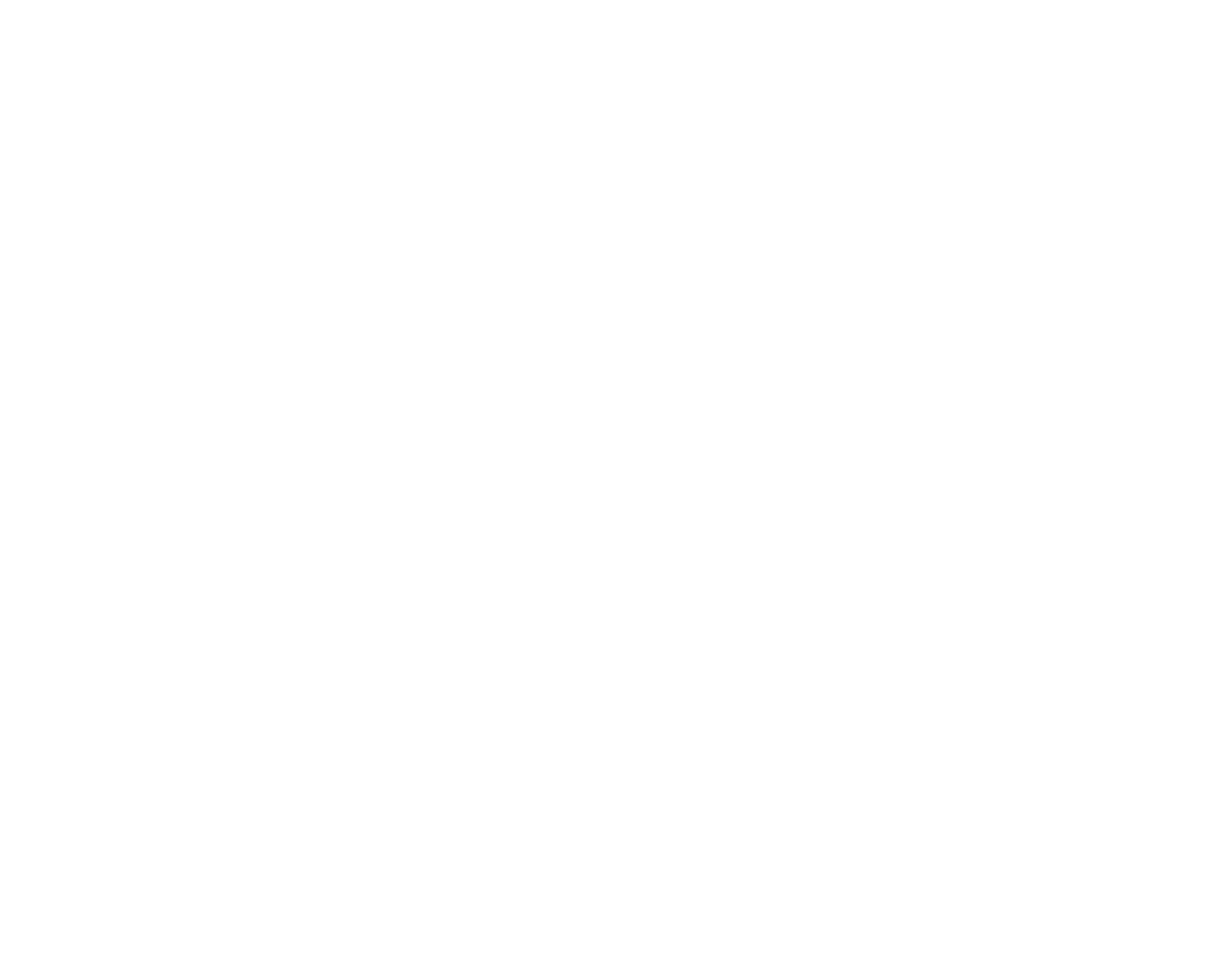 The Lady Bird Diaries