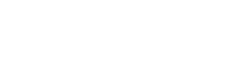 The Dictator's Team