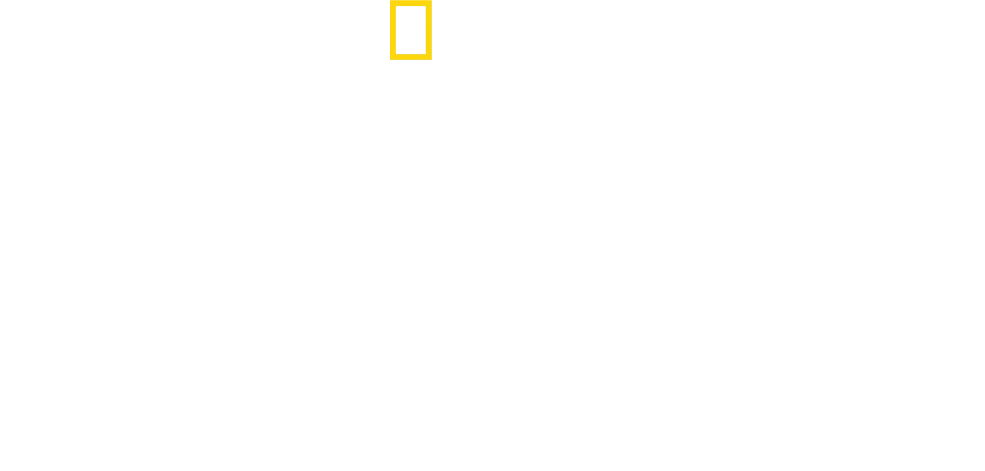 Expedição Amazónia