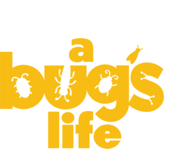 A Bug's Life