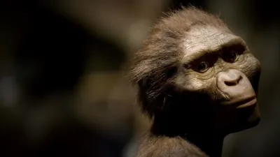 thumbnail - S1:E4 Human Genesis