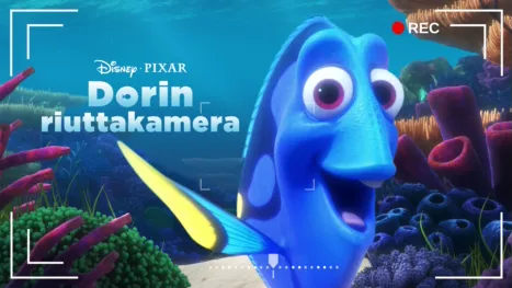 thumbnail - Dorin riuttakamera