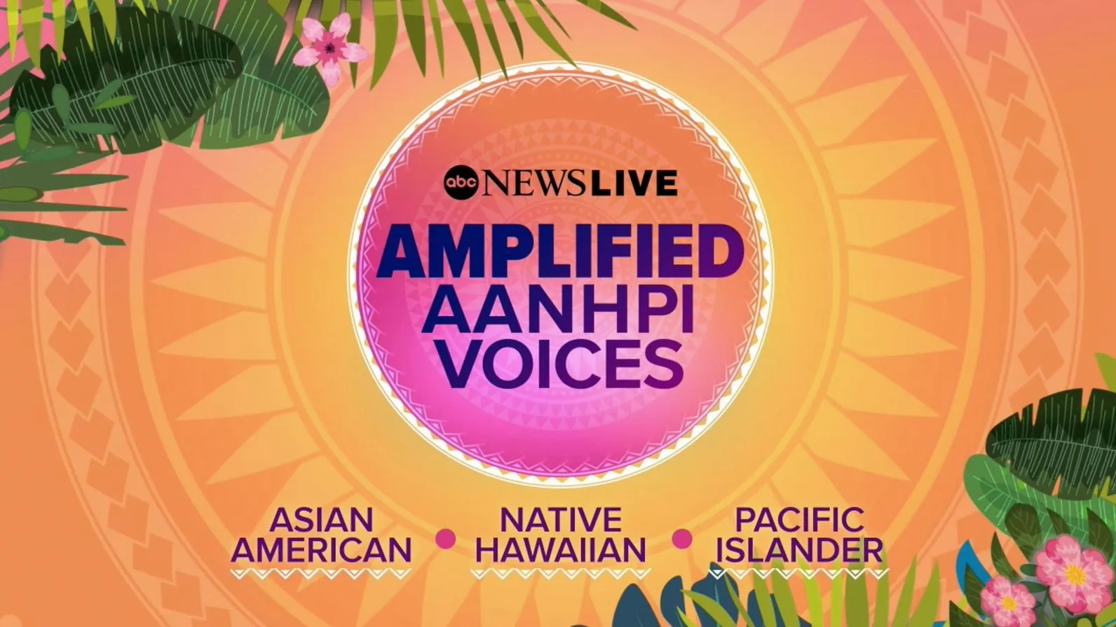 thumbnail - Amplified: Asian American Native Hawaiian Pacific Islander Voices