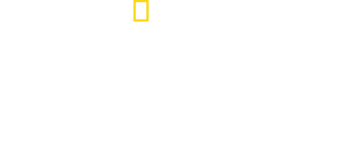 Rescatados de los tiburones